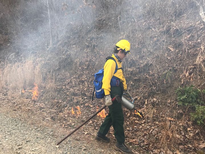 Controlled burn could cause smoke in Lumpkin County.